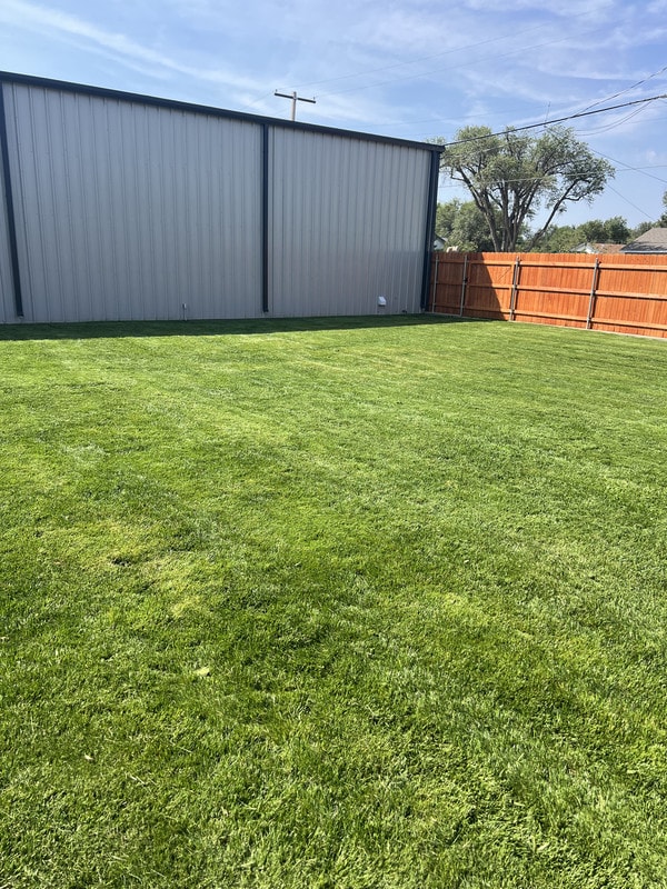 After — Residential Lawn Transformation
