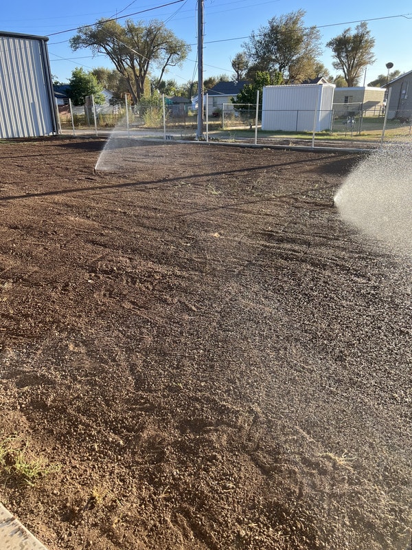 Before — Residential Lawn Transformation