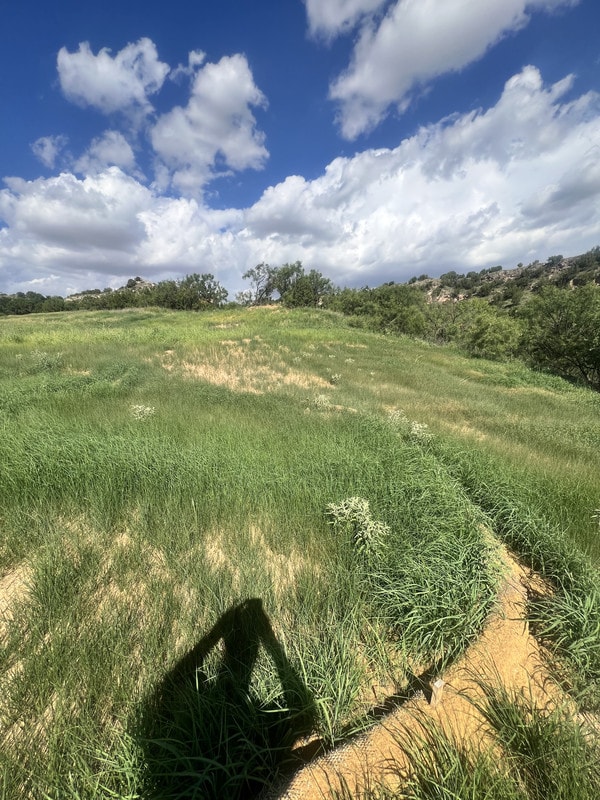 After — Commercial Development Seeding