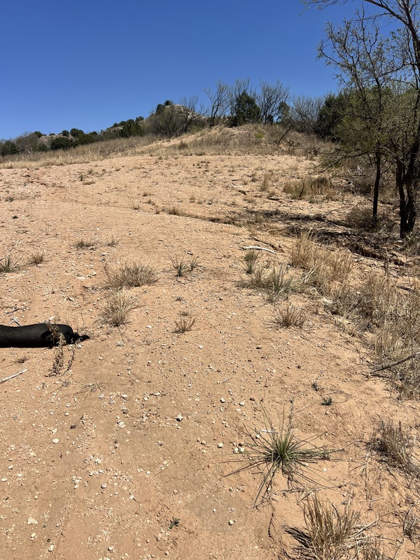 Before — Commercial Development Seeding