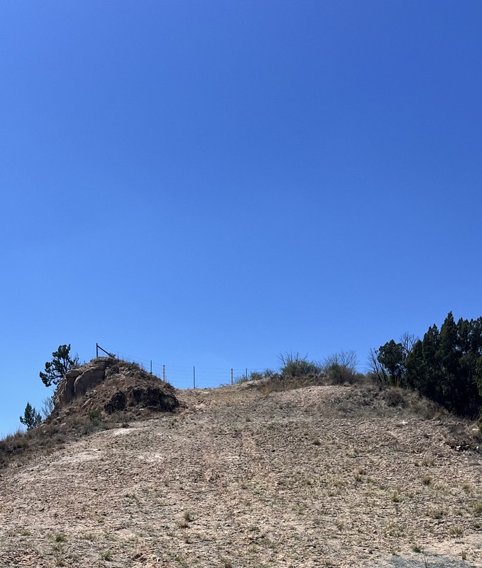 Before — Pasture Restoration