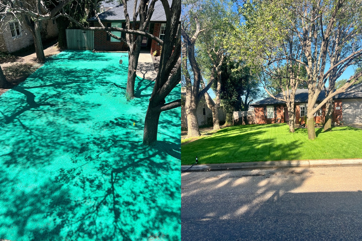 Residential Lawn — Panhandle