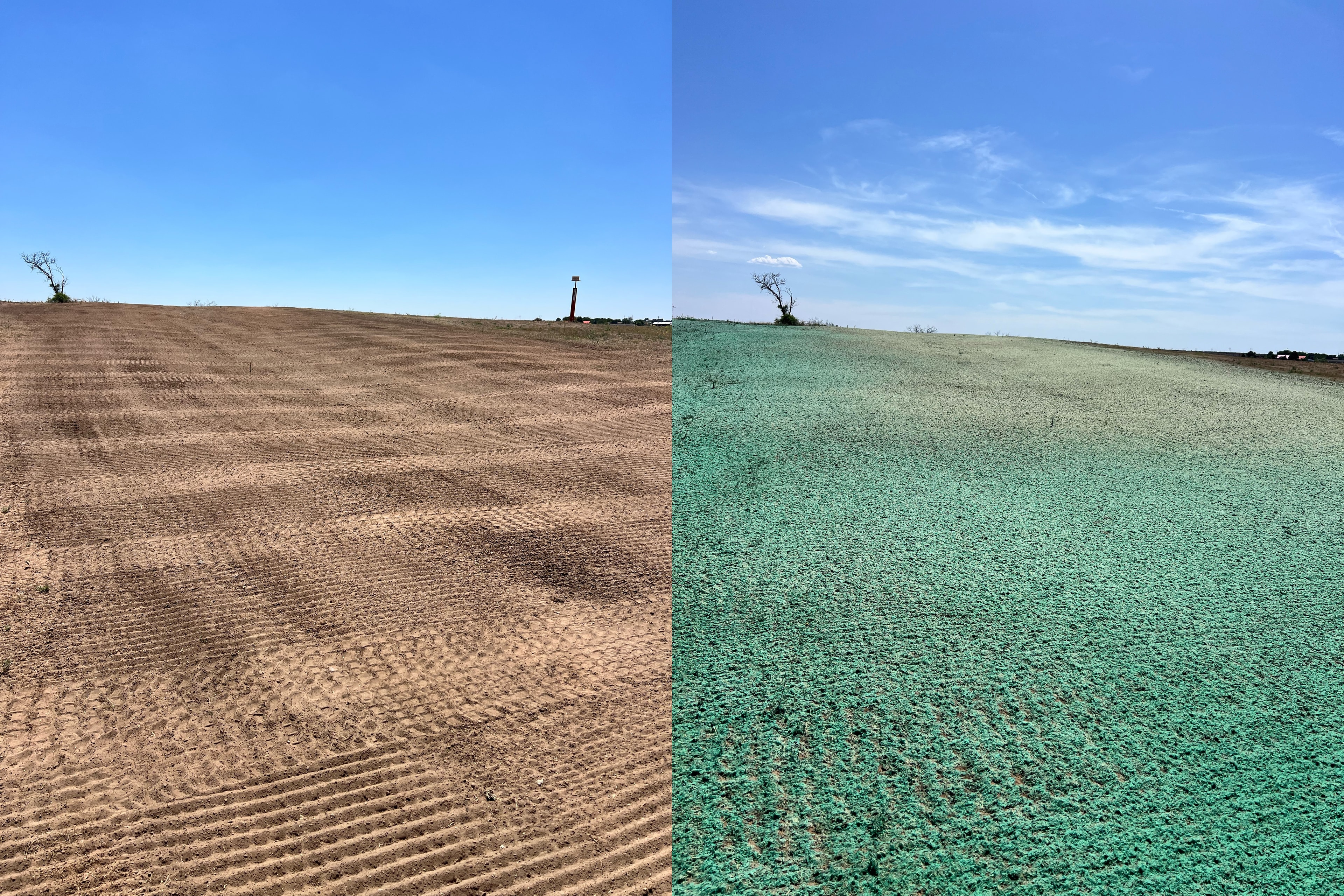 RainMaker Industries field hydroseeding before and after
