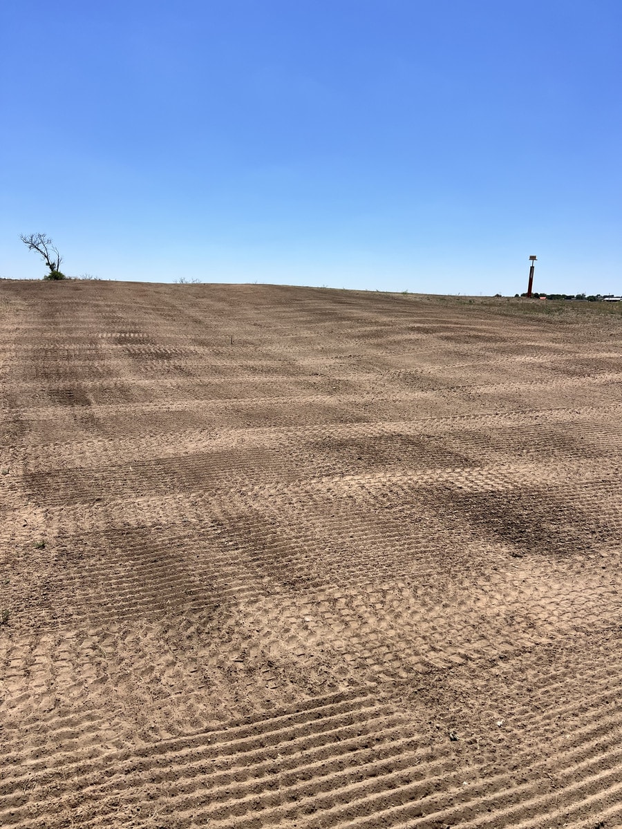 Drill Seeding